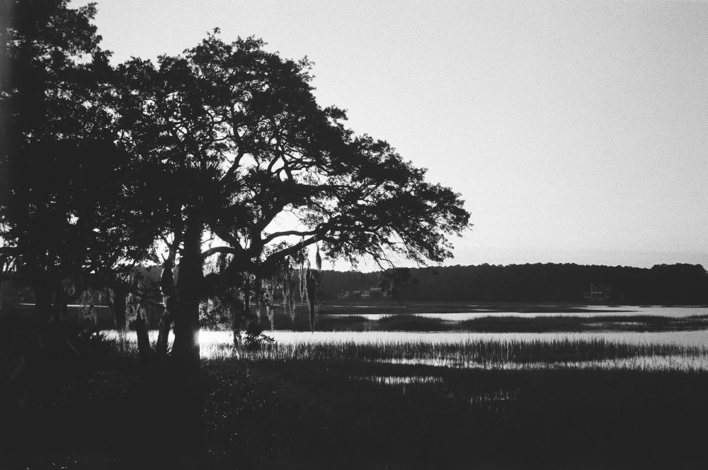 The Last of Nature