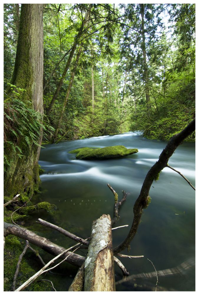 Bellingham, WA